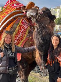 DIKILI'DE DEVE GÜREŞLERI NEFES KESTI