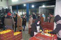 İYİ PARTI BALIKESIR İL BAŞKANLIĞI'NDAN YAŞ MEYVE VE SEBZE TOPTANCI HALI ZIYARETI