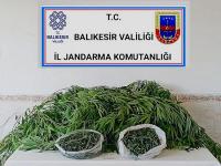 BANDIRMA'DA UYUŞTURUCU OPERASYONU... 2 ŞÜPHELI YAKALANDI