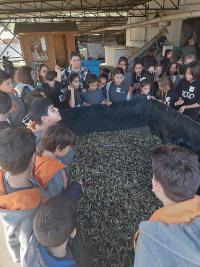 GİRNE KOLEJİ ÇOCUKLARI HAMMADDEDEN ÜRETİM KEŞFİNDELER