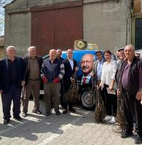 SELIM PANÇ HALKA AŞILI CEVIZ FIDANI DAĞITTI