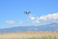 BÜYÜKŞEHIR ZİHA’LAR ILE LARVALARI YOK EDIYOR