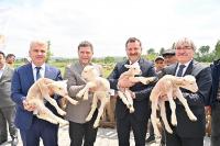 BALIKESIR HAYVANCILIĞIN EN İYISI OLMA YOLUNDA