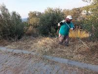 Ayvalık Belediyesi Park ve Bahçeler Ekipleri Kentin Dört Bir Yanında Çalışmalarını Sürdürüyor