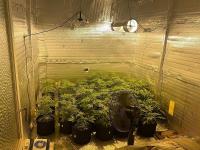 AYVALIK’TA APARTMAN DAİRESİNİ UYUŞTURUCU İMALATHANESİNE ÇEVİREN BİR KİŞİ POLİSE YAKALANDI