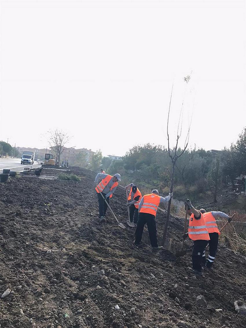 BÜYÜKŞEHIR YEŞIL ALANLARI DÜZENLIYOR