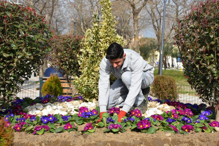 EDREMİT BAHARA ERKEN GİRDİ