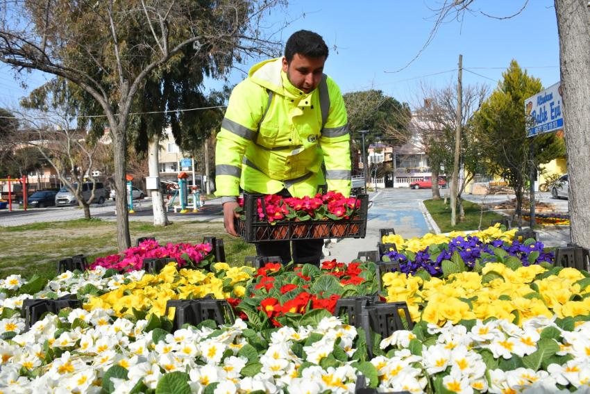 EDREMİT BAHARA ERKEN GİRDİ