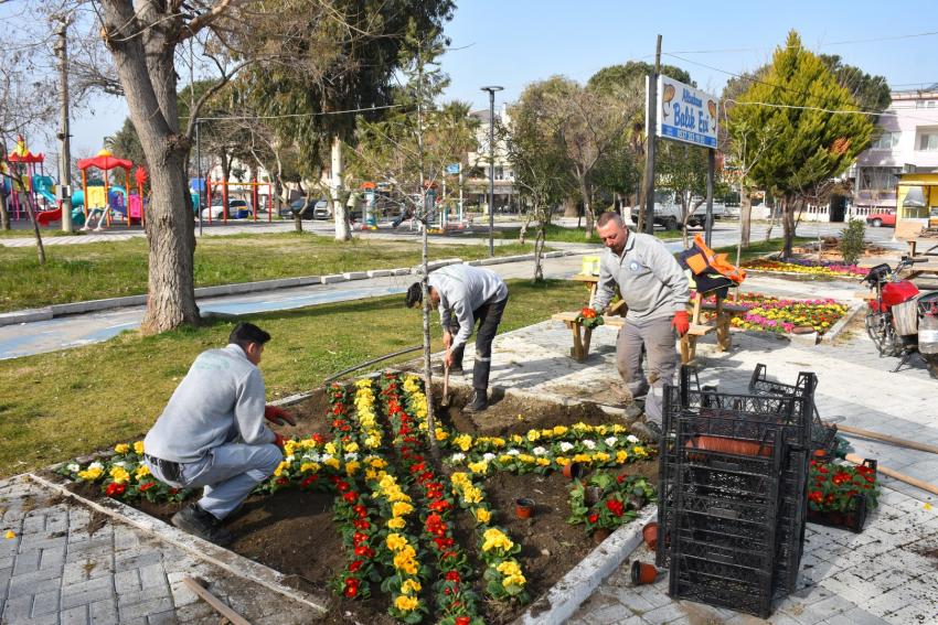 EDREMİT BAHARA ERKEN GİRDİ