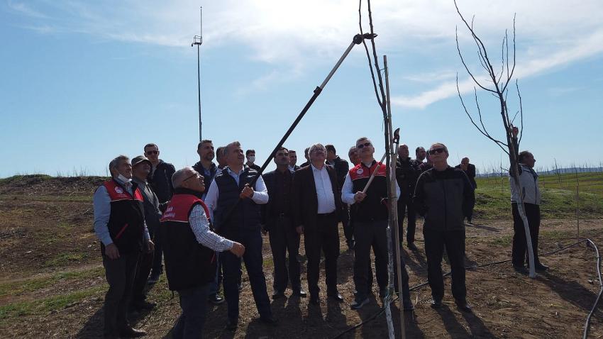 TARIMIN ÖNEMİNE DİKKAT ÇEKEN MİLLETVEKİLİ MUSTAFA CANBEY, İVRİNDİ’DE CEVİZ BUDADI