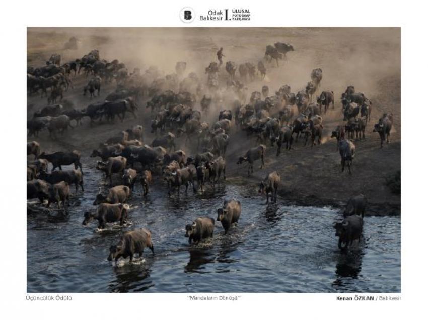 ODAK BALIKESIR’ ÖDÜLLERI SAHIPLERINI BULDU