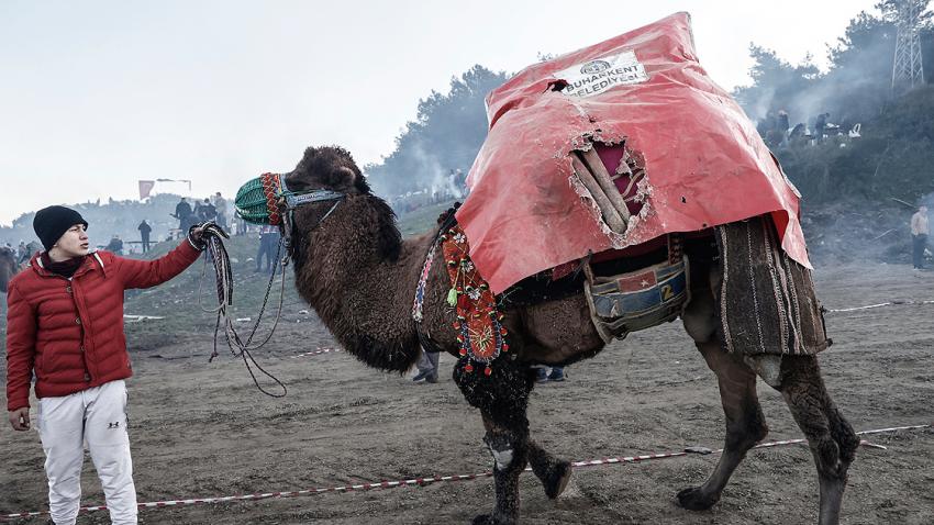BATI ANADOLU'NUN ORTAK TUTKUSU: PEHLIVAN DEVELER
