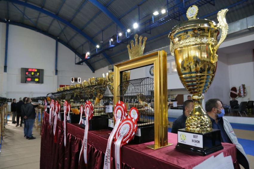 YORKSHIRE GÜZELLİK YARIŞMASININ 5’İNCİSİ YAPILDI  DÜNYANIN EN BÜYÜK YORKSHİRE YARIŞMASI EDREMİT’TE YAPILDI