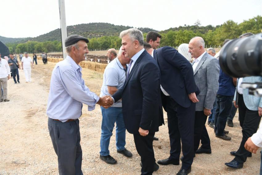 DURSUNBEYLİ ÜRETİCİYE DAMIZLIK  KÜÇÜKBAŞ HAYVAN DESTEĞİ