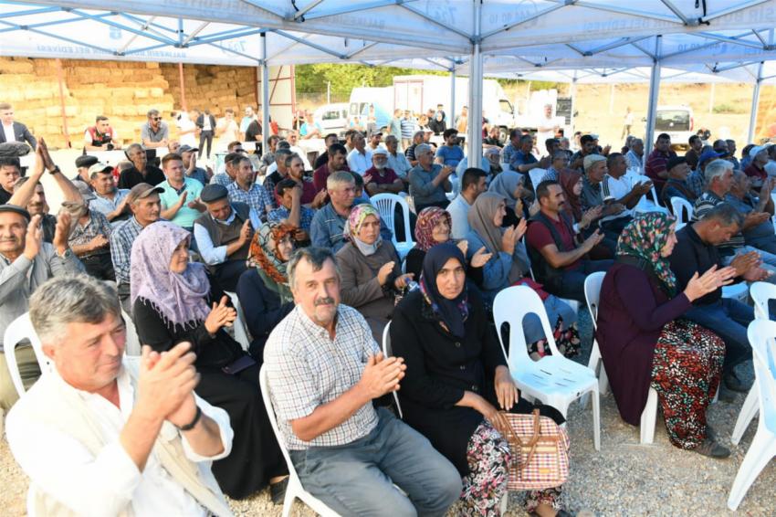 DURSUNBEYLİ ÜRETİCİYE DAMIZLIK  KÜÇÜKBAŞ HAYVAN DESTEĞİ