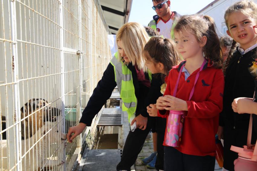 BURHANİYE’DE ÖĞRENCİLERDEN HAYVAN BARINAĞINA ZİYARET