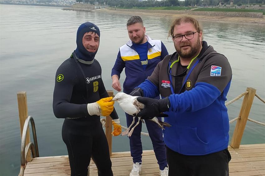 Dalış Köyü’nde özgürlüğüne kavuştu