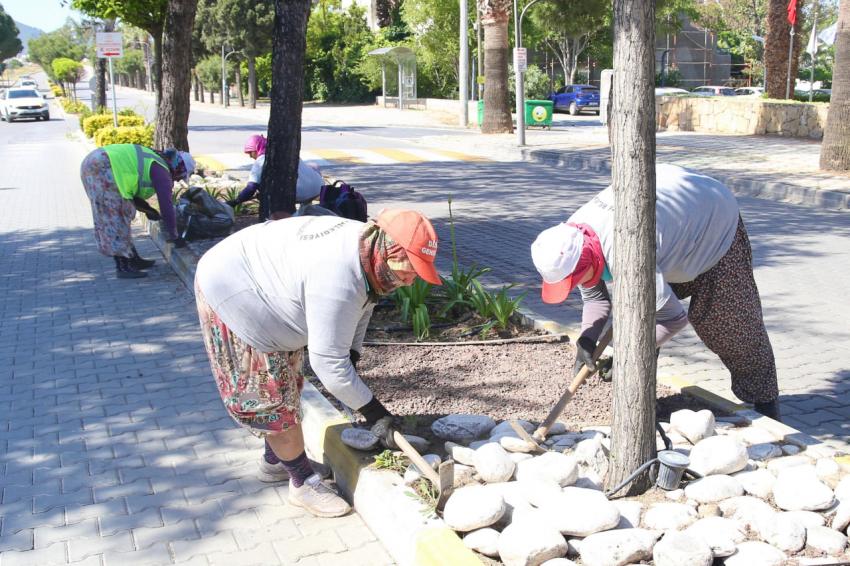 BURHANİYE, YAZ MEVSİMİNE HAZIRLANIYOR