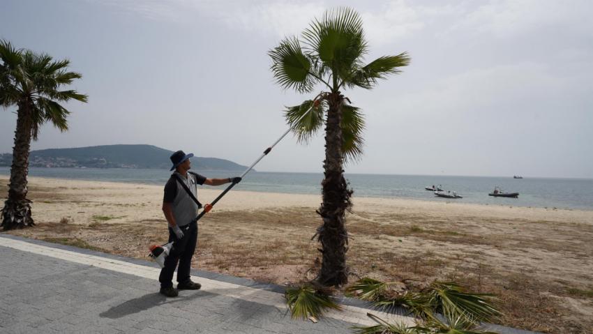 Balıkesir’in, Mavi Bayraklı Plaj sayısı 49’a yükseldi