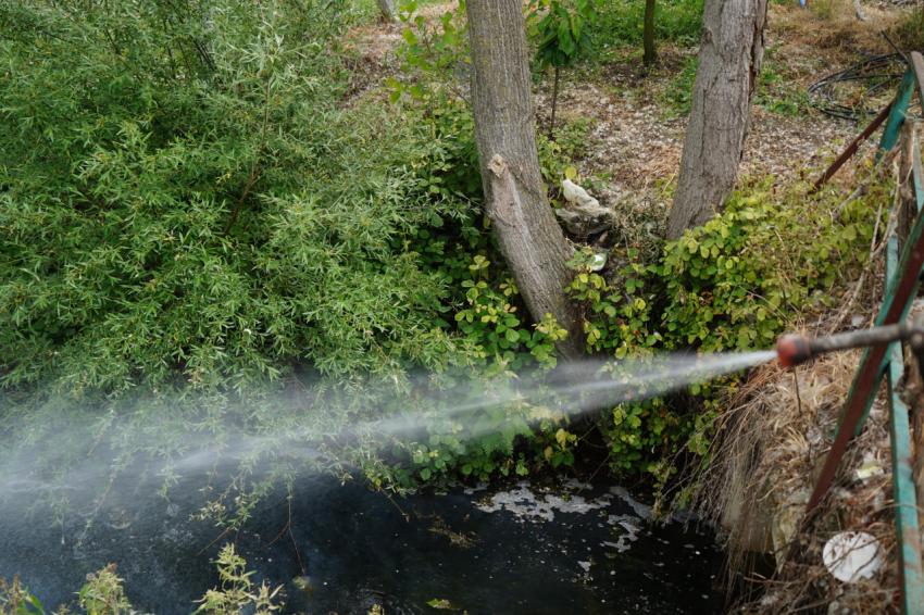 81 Kırsal 13 Merkez mahalle ekipler tarafından ilaçlanıyor