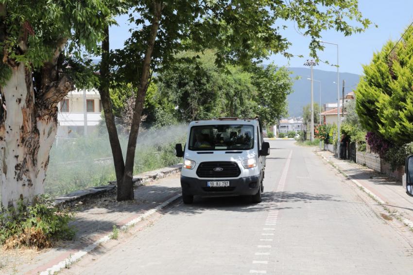 Edremit Belediyesi sinek ve haşere mücadelesine devam ediyor