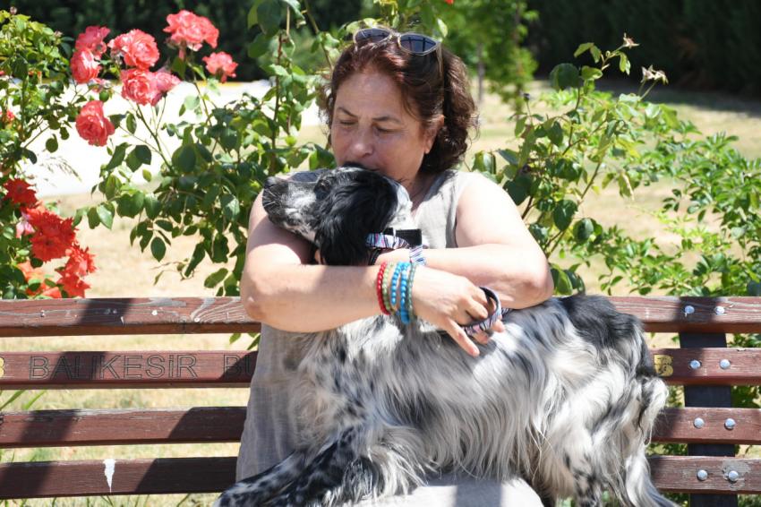 Cesur, yeni yuvasında gereken ilgi ve sevgiyi görecek