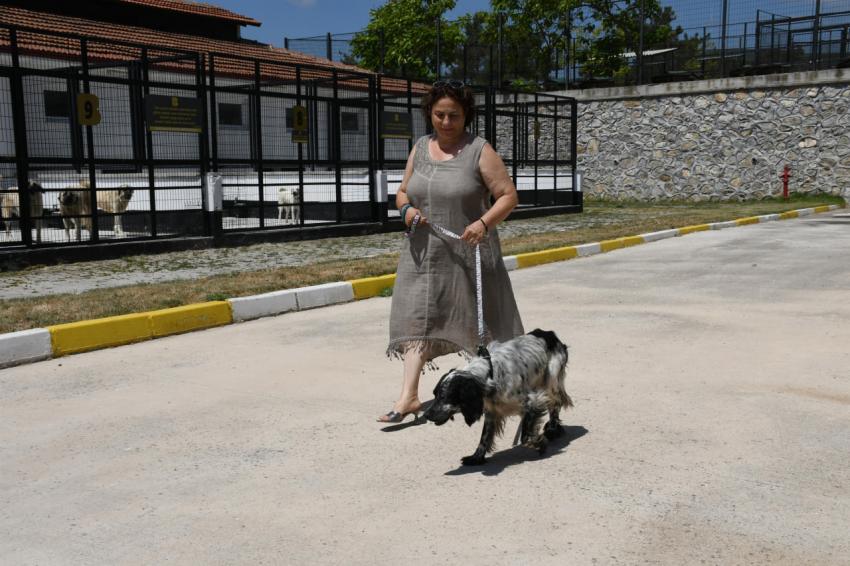 Cesur, yeni yuvasında gereken ilgi ve sevgiyi görecek