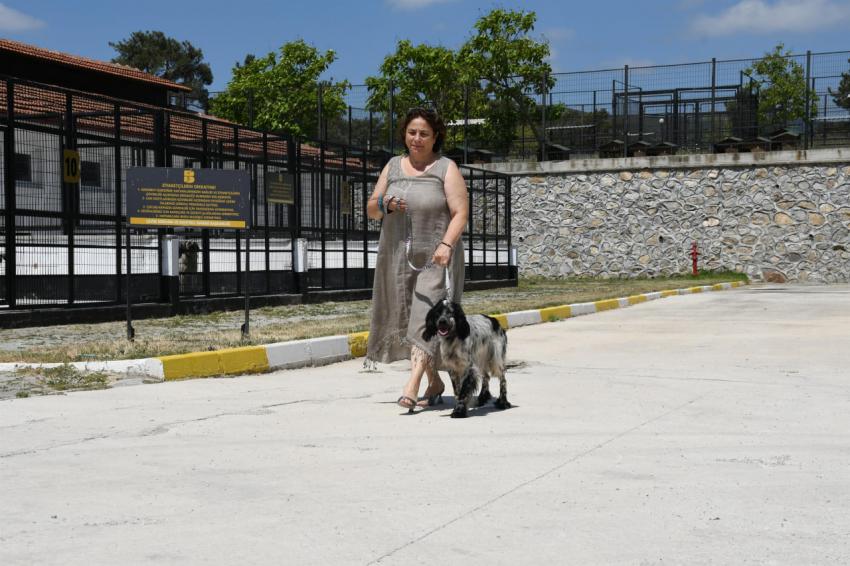 Cesur, yeni yuvasında gereken ilgi ve sevgiyi görecek