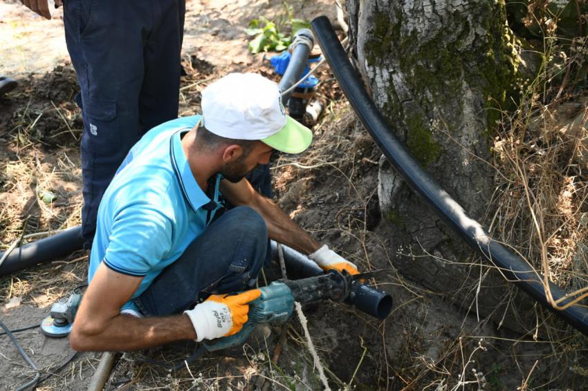 Başkan Akın, Erdek’te 20 bin zeytin ağacını suya kavuşturdu
