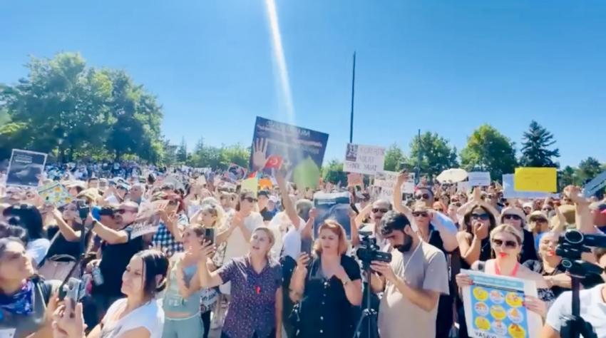 SOKAKTAKİ CANLARIMIZA SAHİP ÇIKAMIYORSANIZ TERK EDİN O KOLTUKLARI