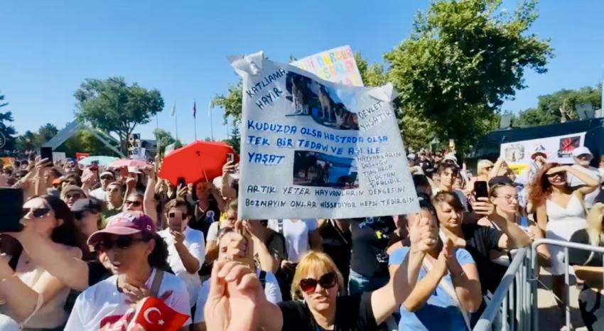 SOKAKTAKİ CANLARIMIZA SAHİP ÇIKAMIYORSANIZ TERK EDİN O KOLTUKLARI