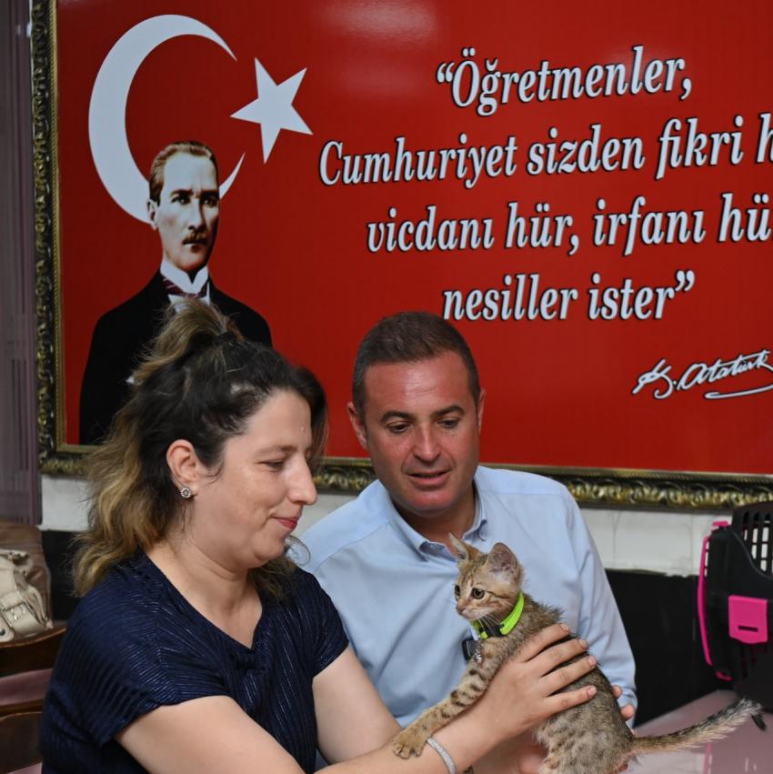 Tedavisi tamamlanan yavru kedi Biber sahibiyle buluştu
