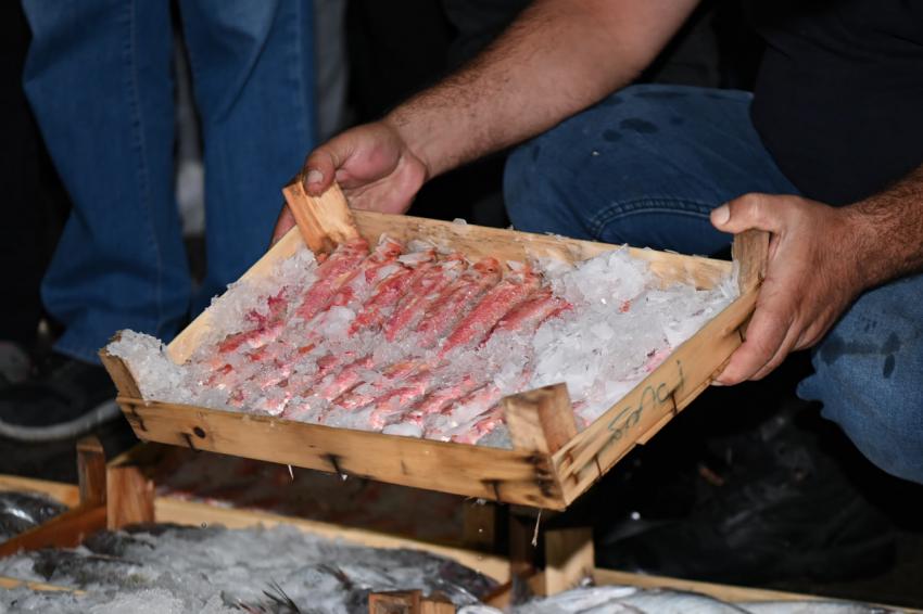 Balıkesirli balıkçılar “Vira Bismillah” diyerek sezonu açtı