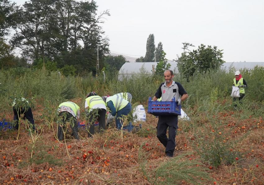 BBB, salça yapıp ihtiyaç sahiplerine ulaştıracak