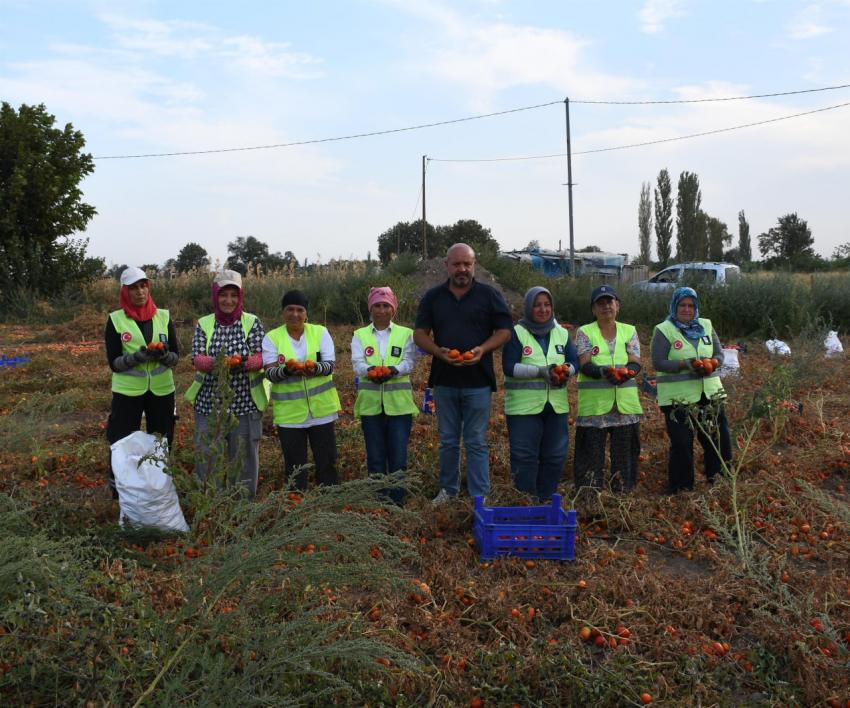 BBB, salça yapıp ihtiyaç sahiplerine ulaştıracak