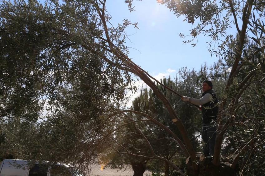 Edremit Belediyesi kompost makinesi ile organik gübre üretiyor