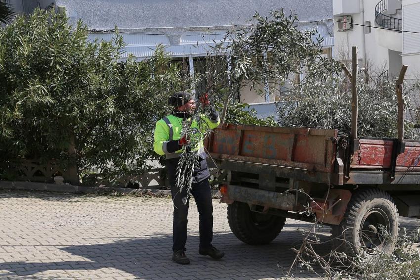 Edremit Belediyesi kompost makinesi ile organik gübre üretiyor