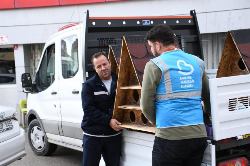 Balıkesir’in kedilerinin yuvası Büyükşehir’den