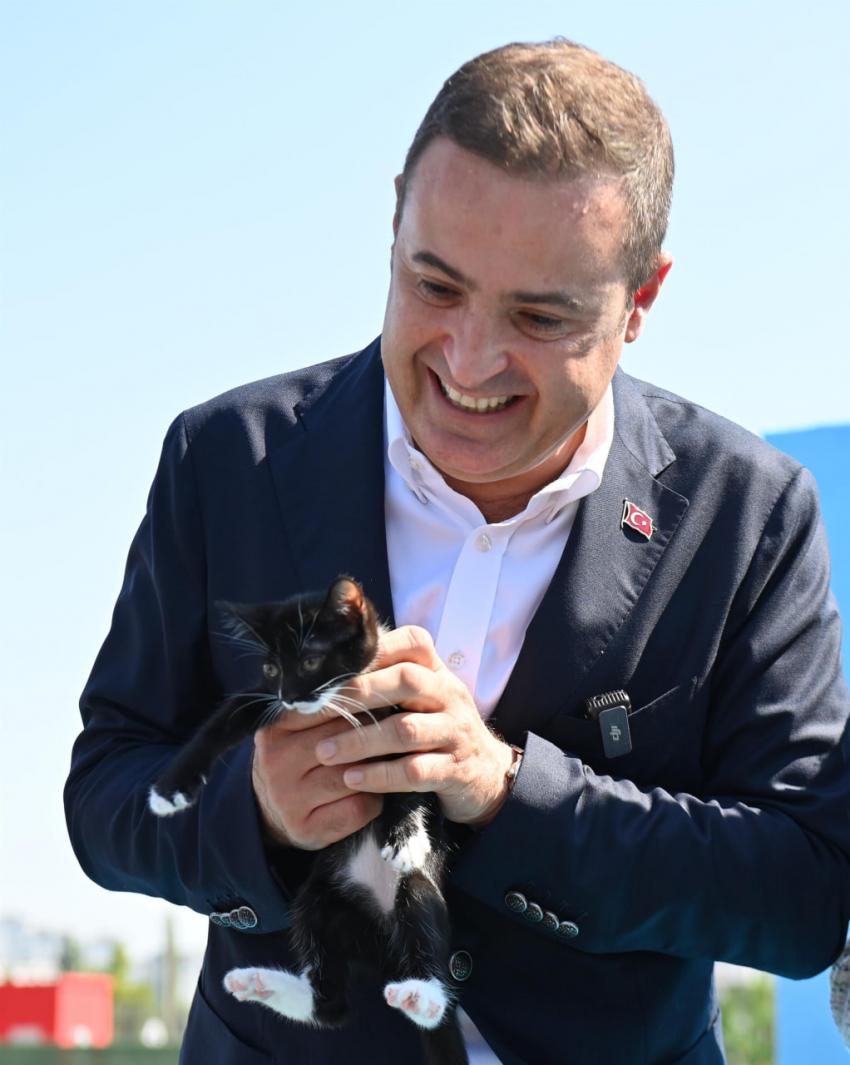 Balıkesir’in kedilerinin yuvası Büyükşehir’den