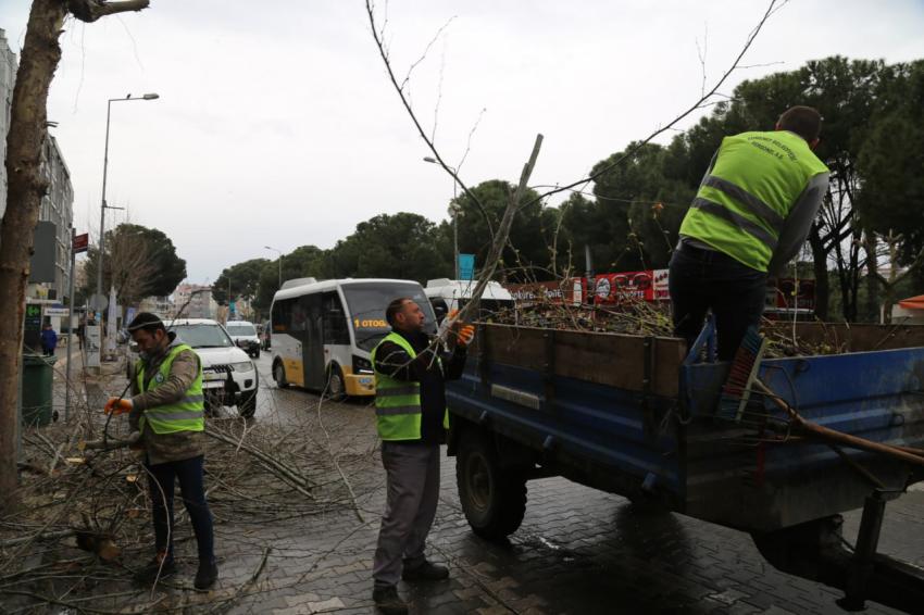 Daha yeşil bir Edremit için..