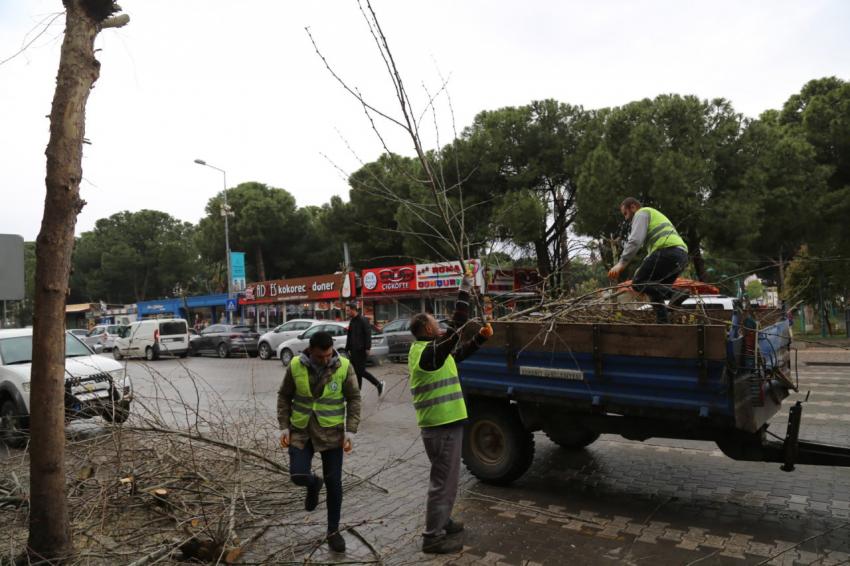 Daha yeşil bir Edremit için..