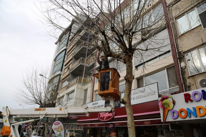 Daha yeşil bir Edremit için..