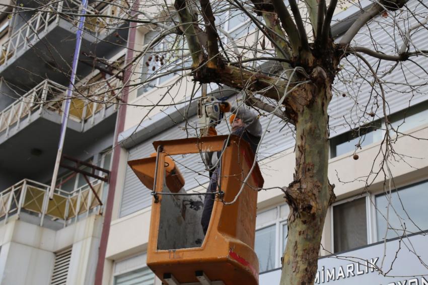 Daha yeşil bir Edremit için..