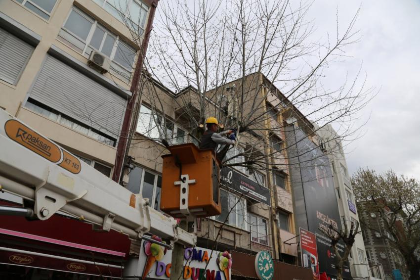 Daha yeşil bir Edremit için..