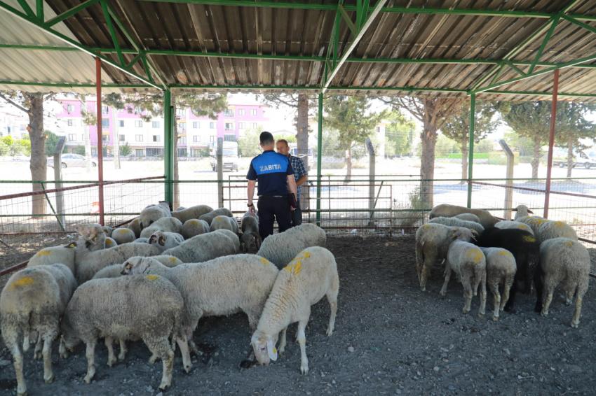 BURHANİYE KURBAN BAYRAMINA HAZIR