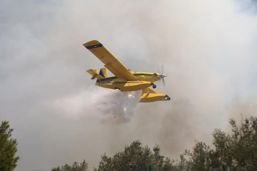  Edremit’te zeytinlikte çıkan yangın ormana sıçramadan söndürüldü