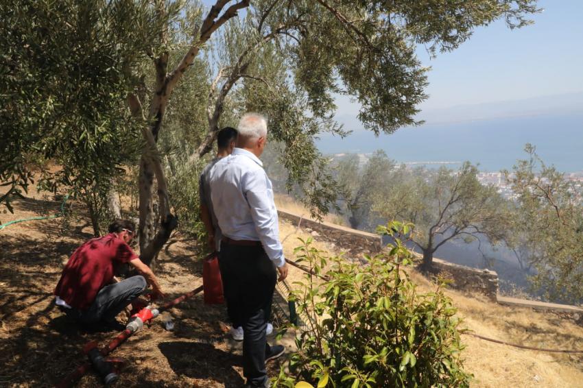  Edremit’te zeytinlikte çıkan yangın ormana sıçramadan söndürüldü