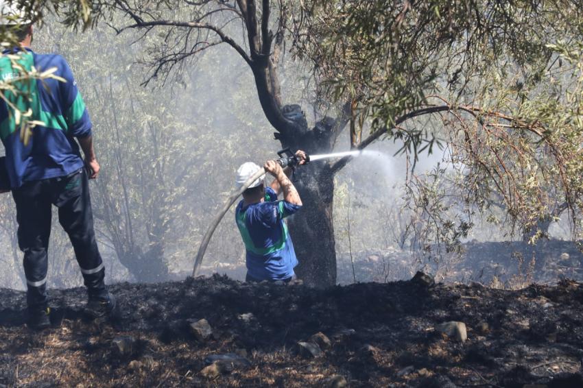  Edremit’te zeytinlikte çıkan yangın ormana sıçramadan söndürüldü