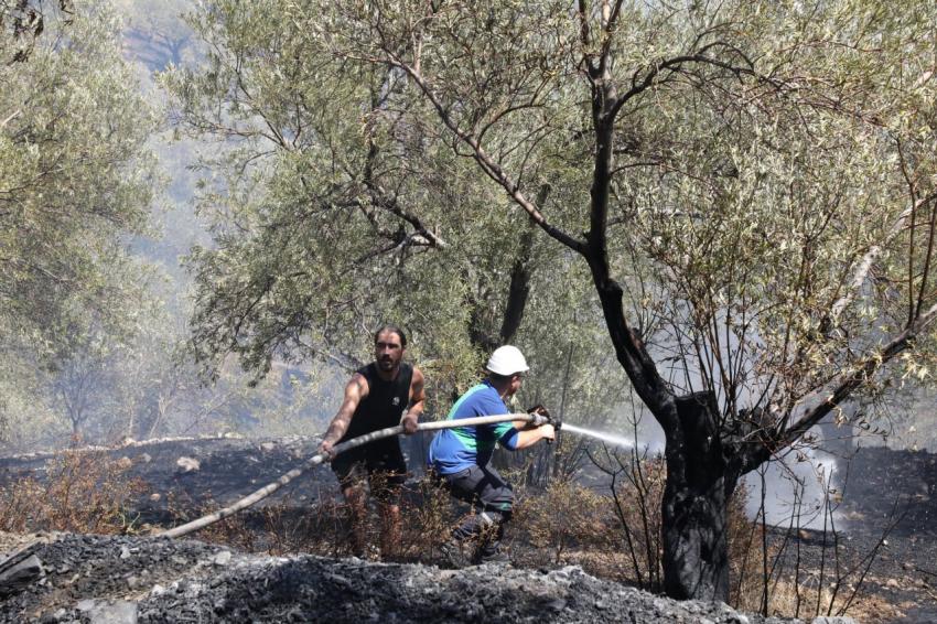  Edremit’te zeytinlikte çıkan yangın ormana sıçramadan söndürüldü