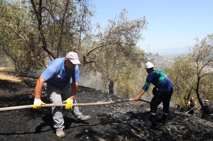  Edremit’te zeytinlikte çıkan yangın ormana sıçramadan söndürüldü
